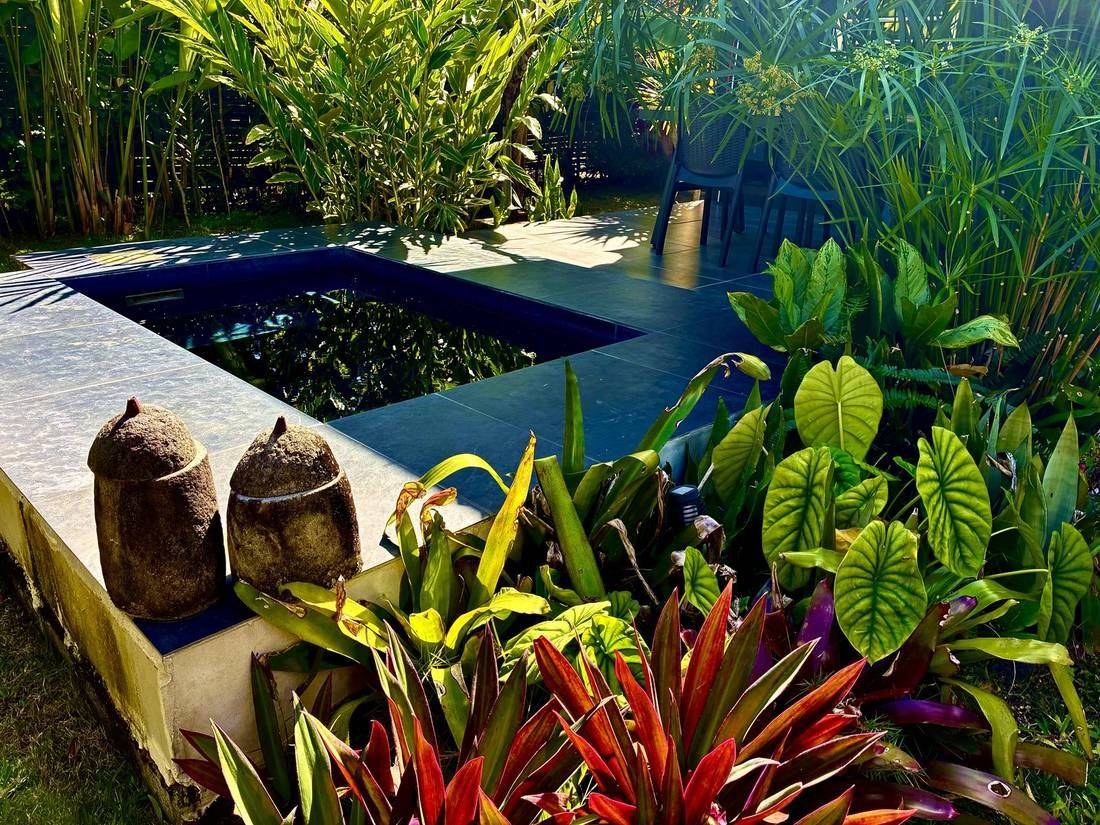 Piscine entourée de plantes tropicales